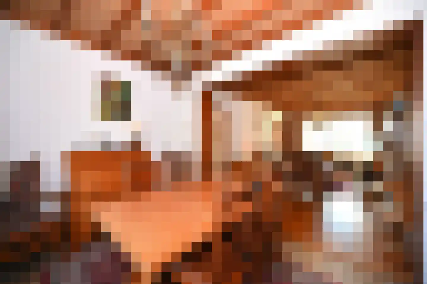 Hegge 88 Schinnen thumbnail 14