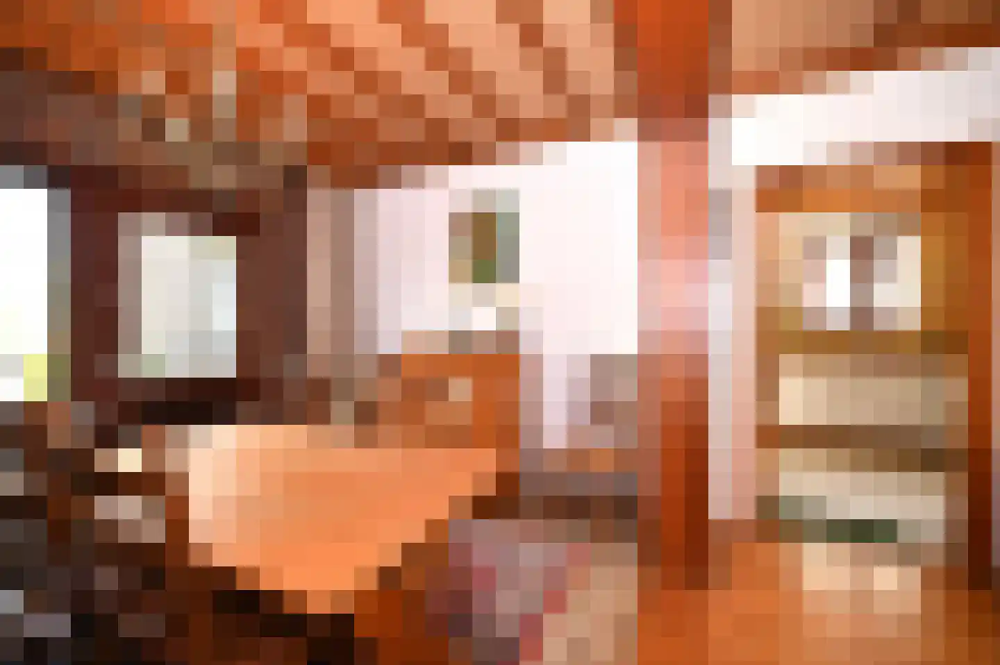 Hegge 88 Schinnen thumbnail 15