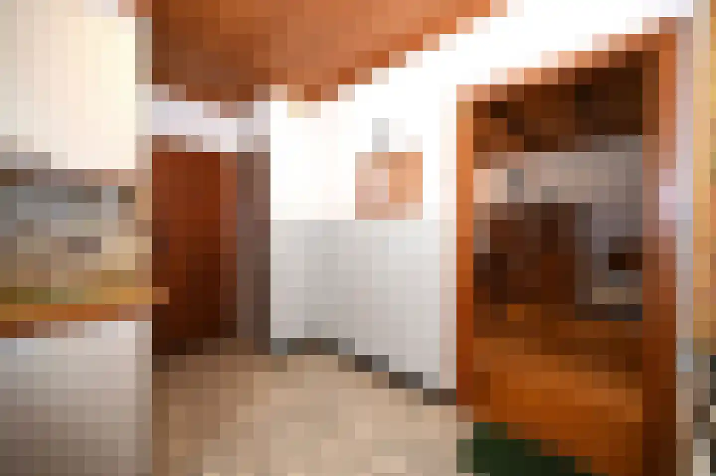 Hegge 88 Schinnen thumbnail 16