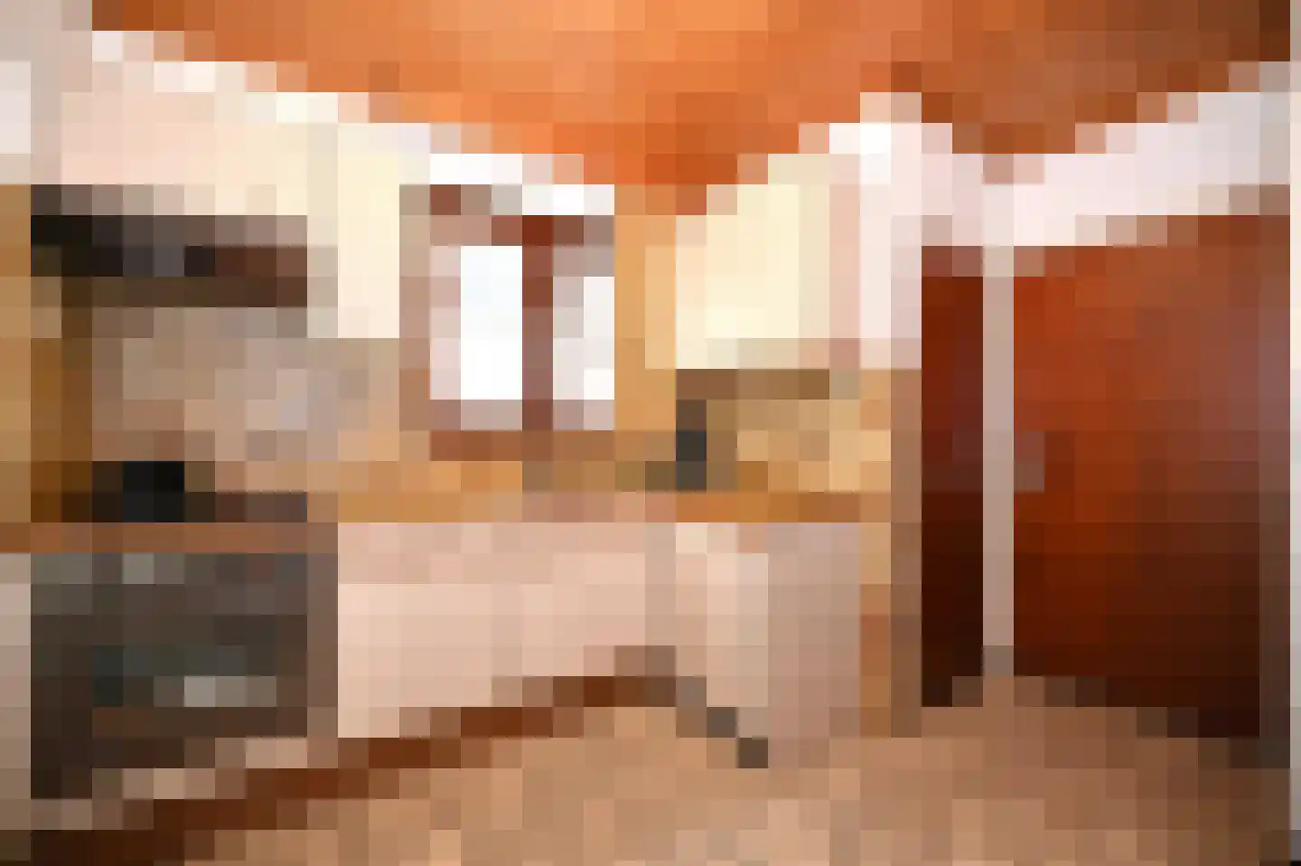 Hegge 88 Schinnen thumbnail 17