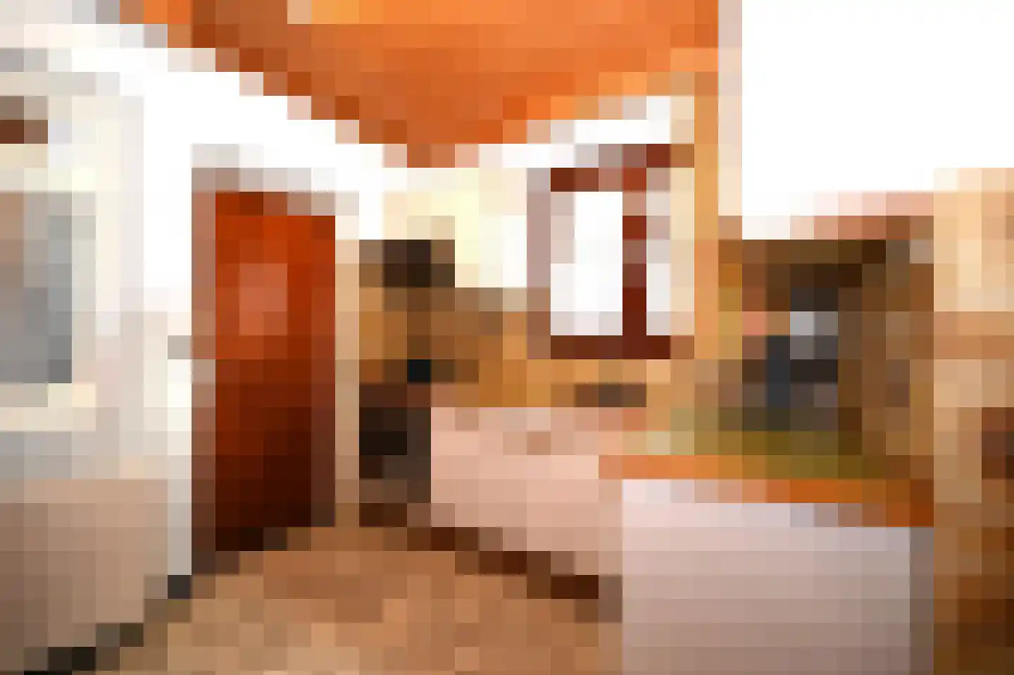 Hegge 88 Schinnen thumbnail 18