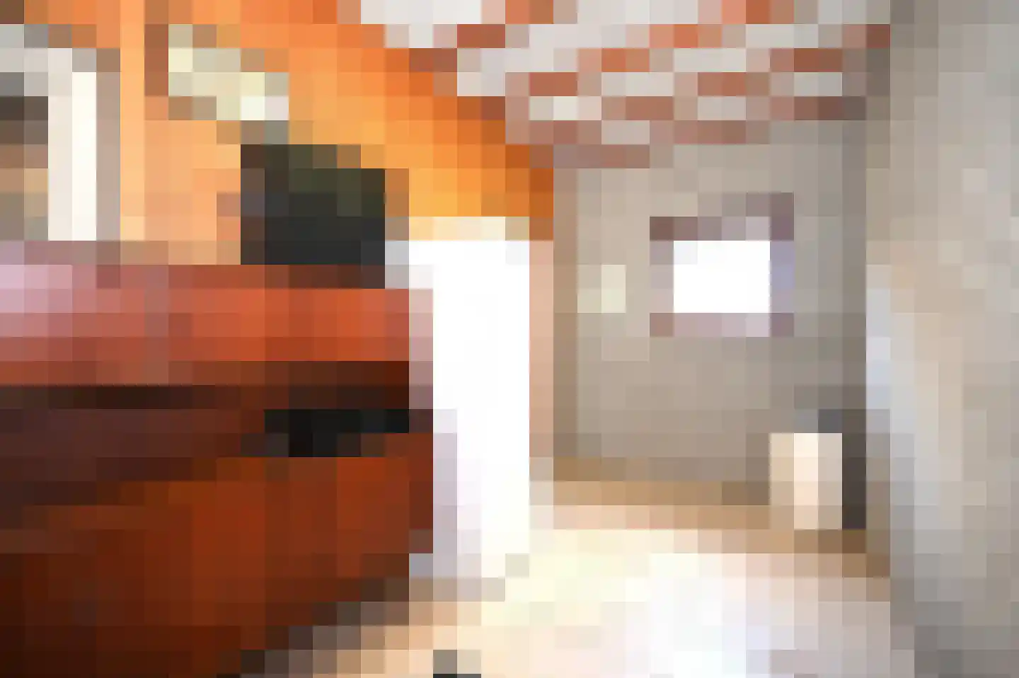 Hegge 88 Schinnen thumbnail 21