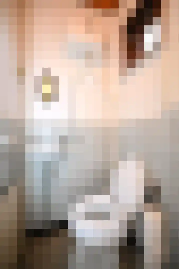 Hegge 88 Schinnen thumbnail 22
