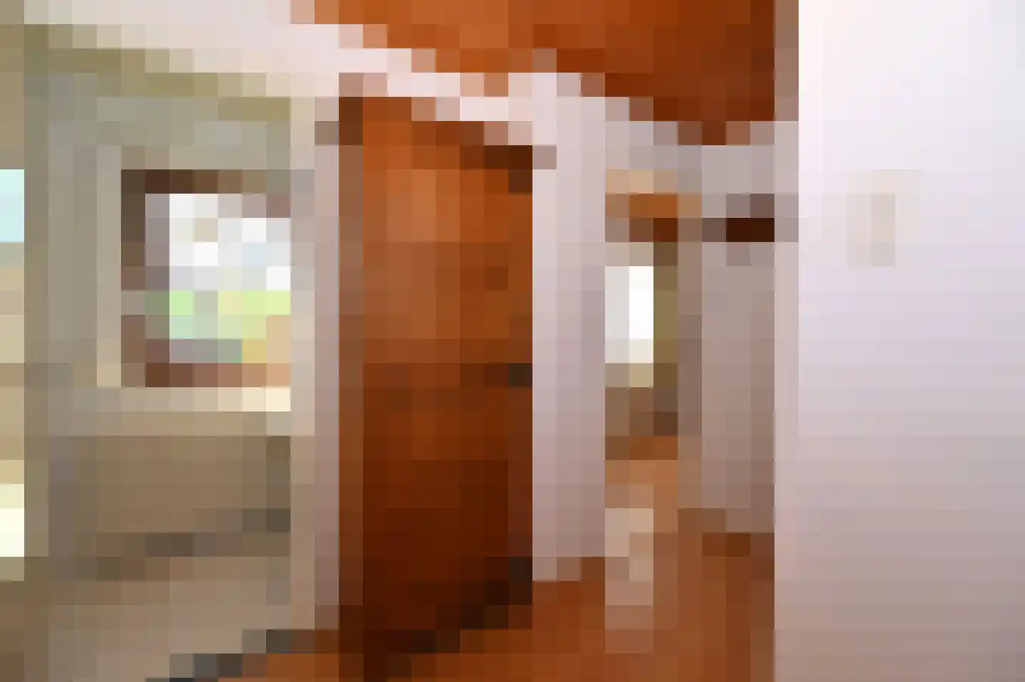 Hegge 88 Schinnen thumbnail 25