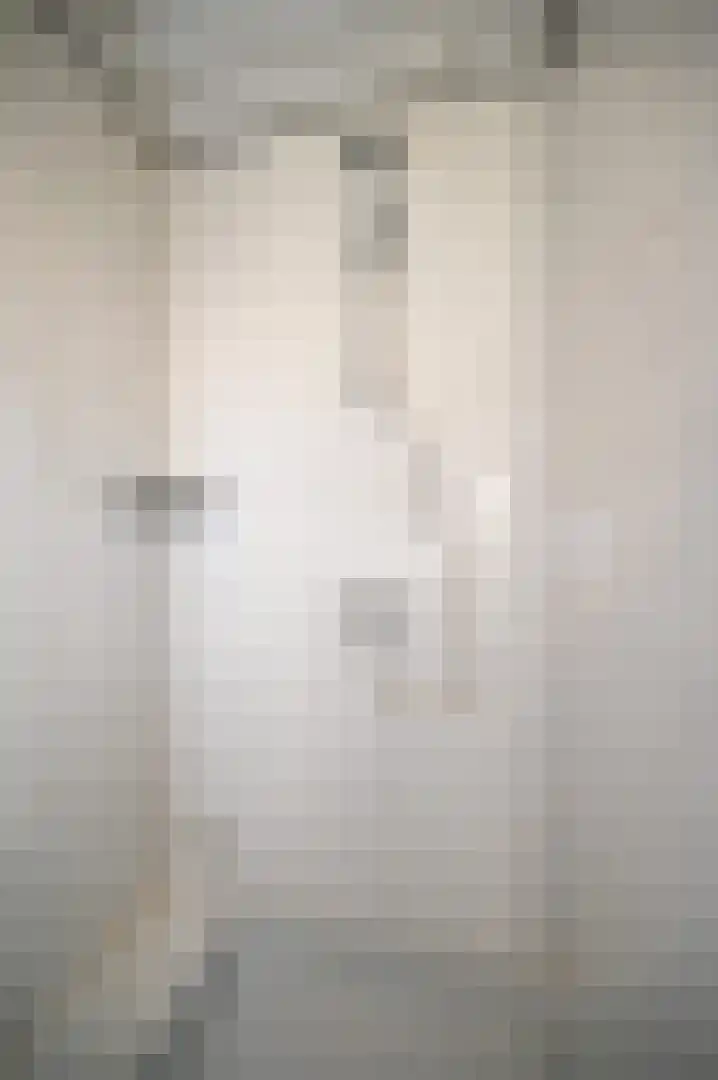 Hegge 88 Schinnen thumbnail 27