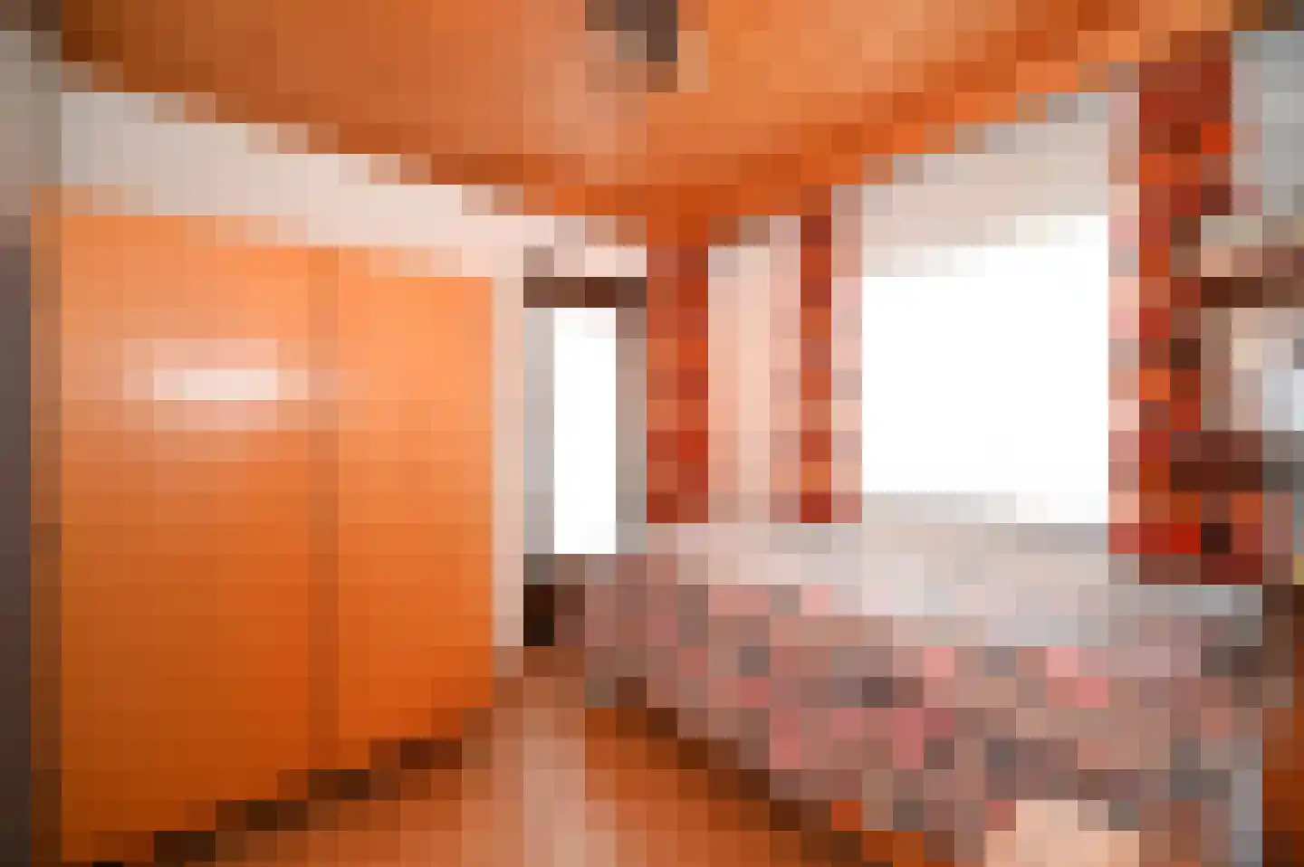 Hegge 88 Schinnen thumbnail 35