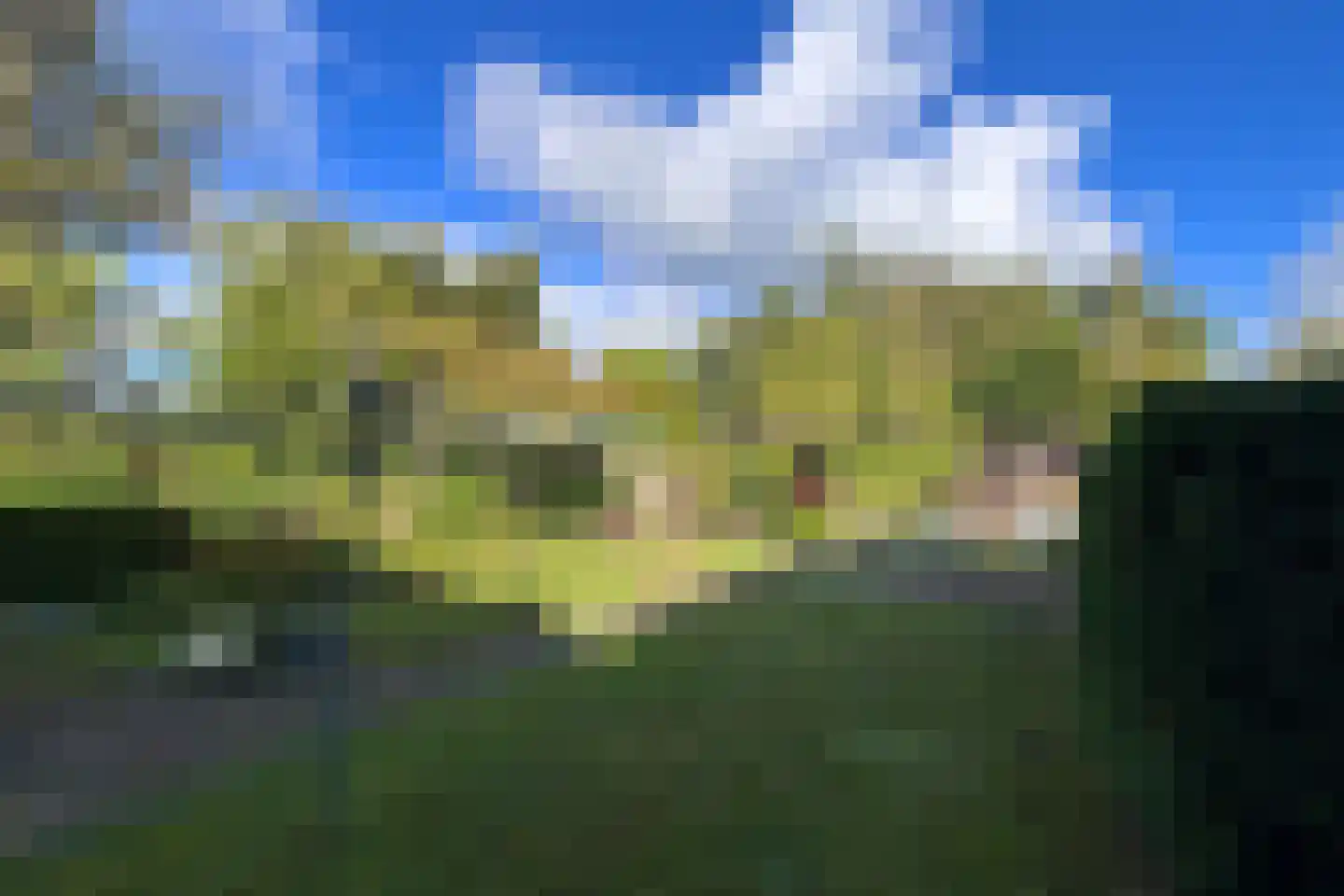 Hegge 88 Schinnen thumbnail 39