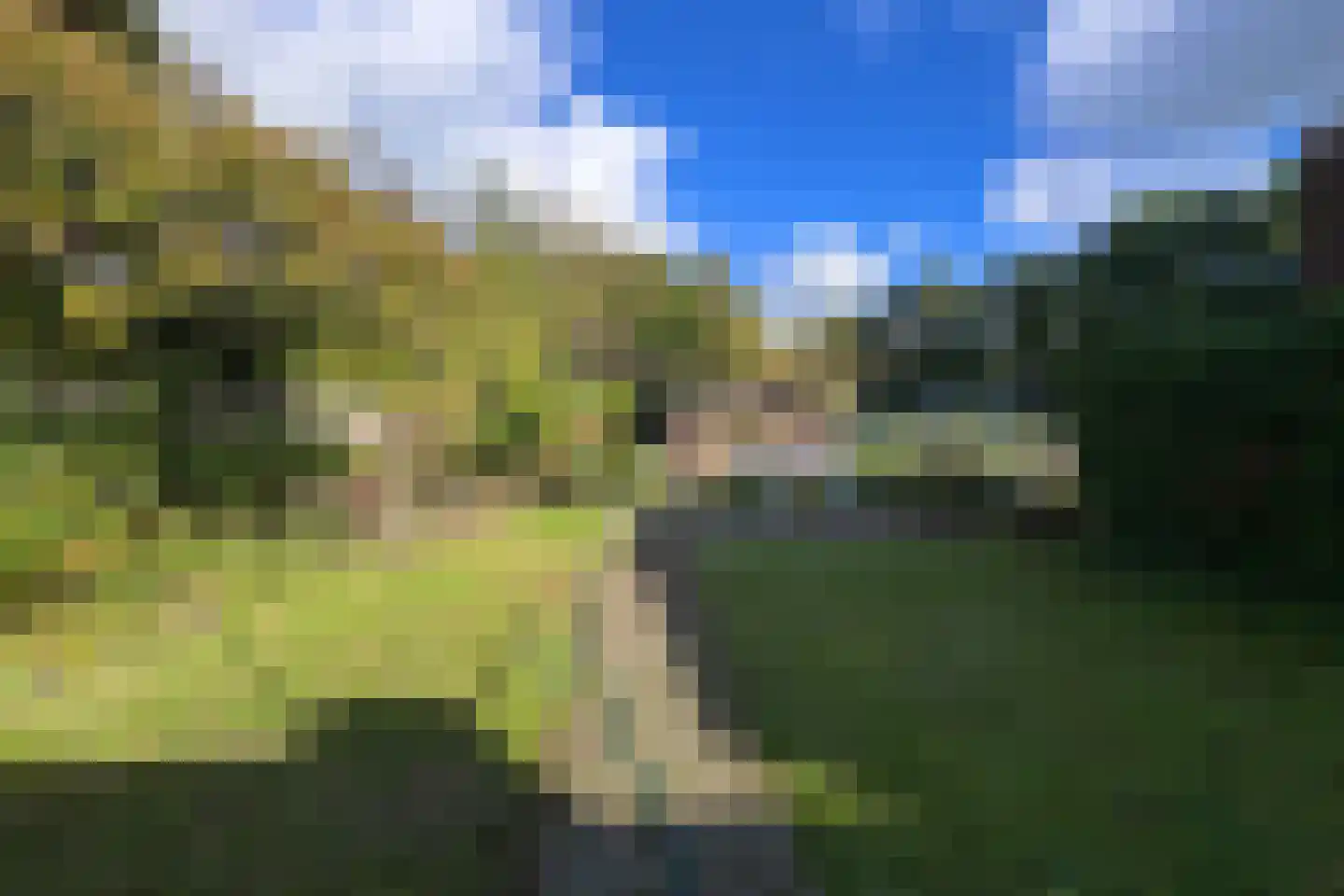 Hegge 88 Schinnen thumbnail 40