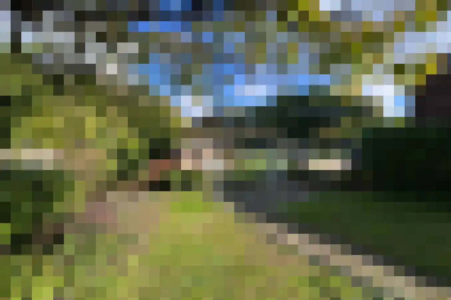 Hegge 88 Schinnen thumbnail 42