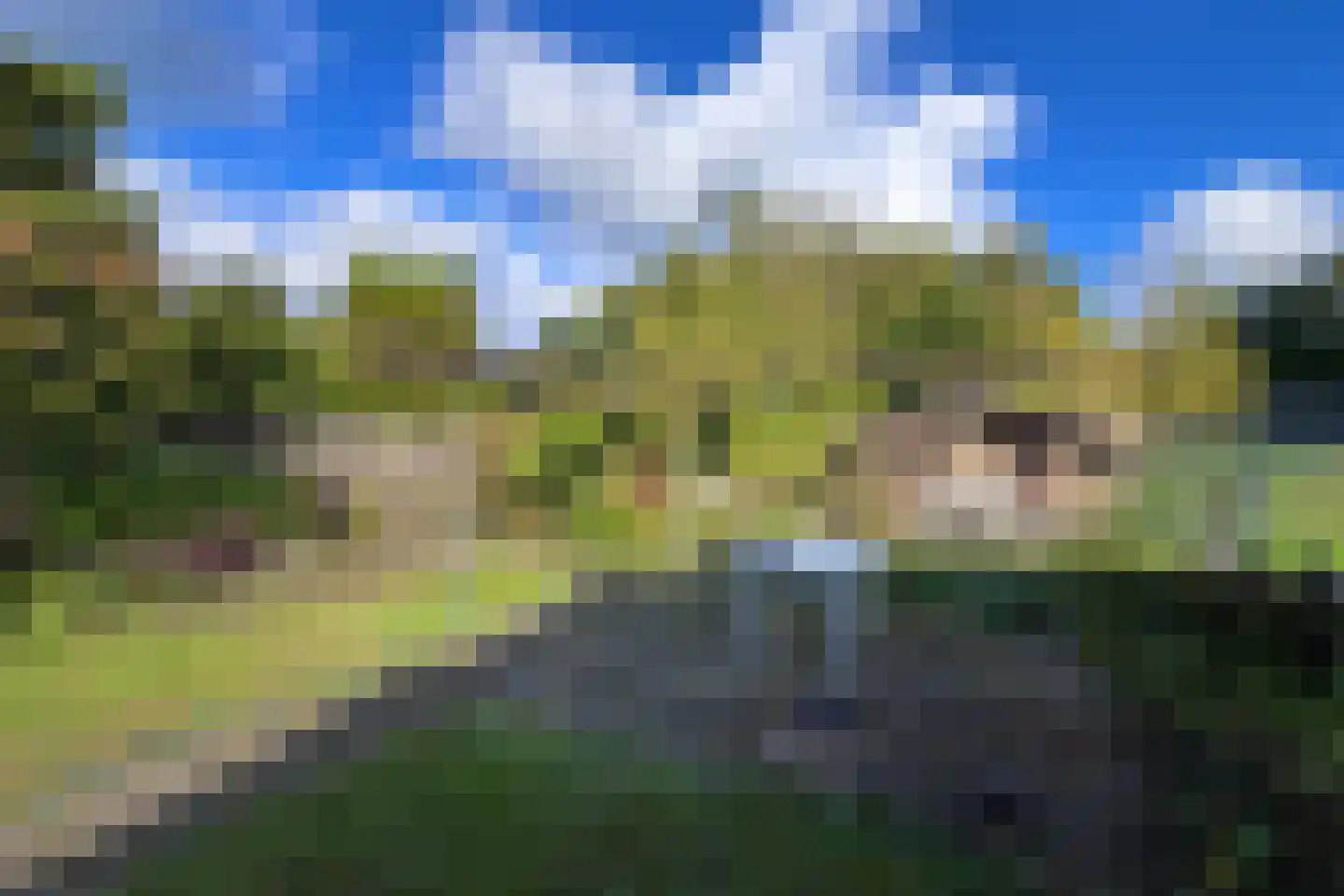 Hegge 88 Schinnen thumbnail 43