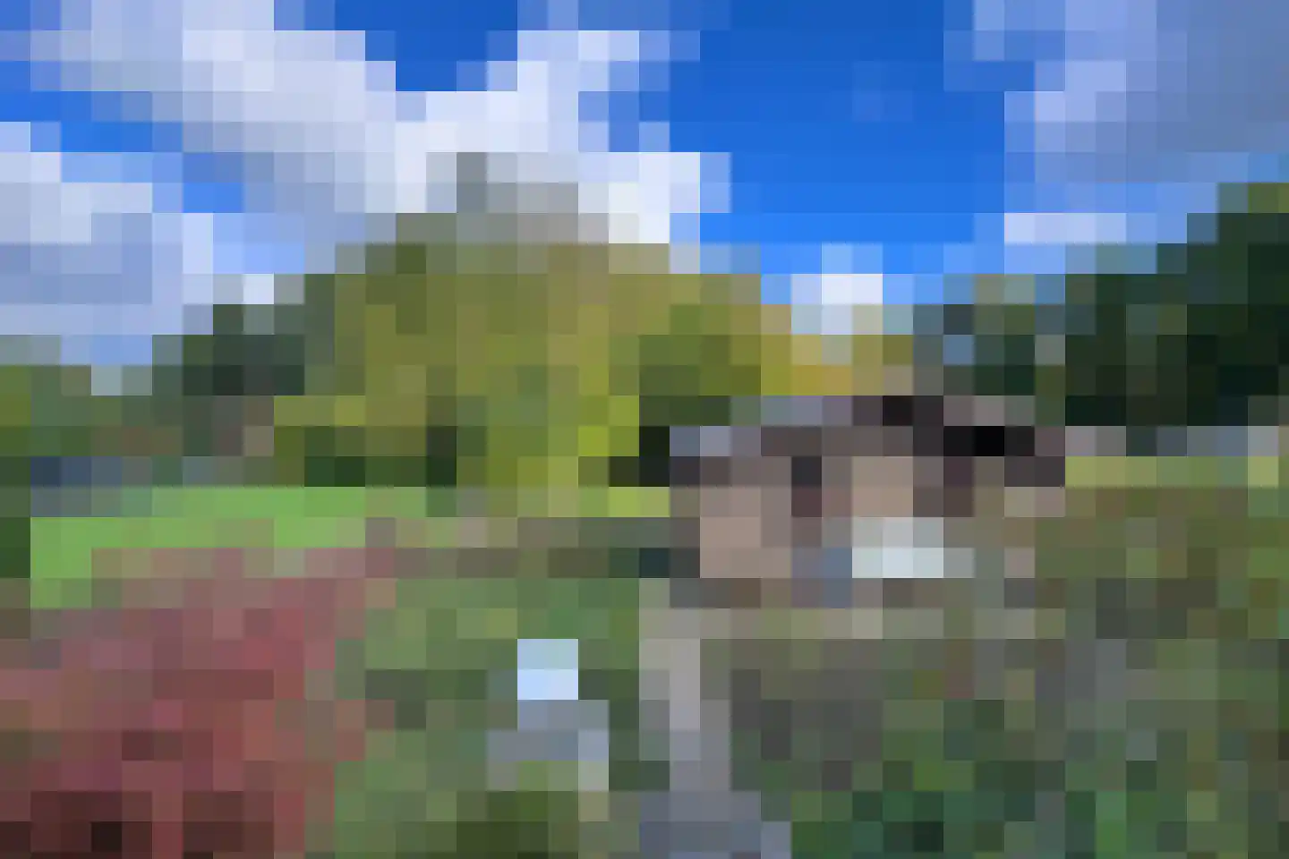 Hegge 88 Schinnen thumbnail 45