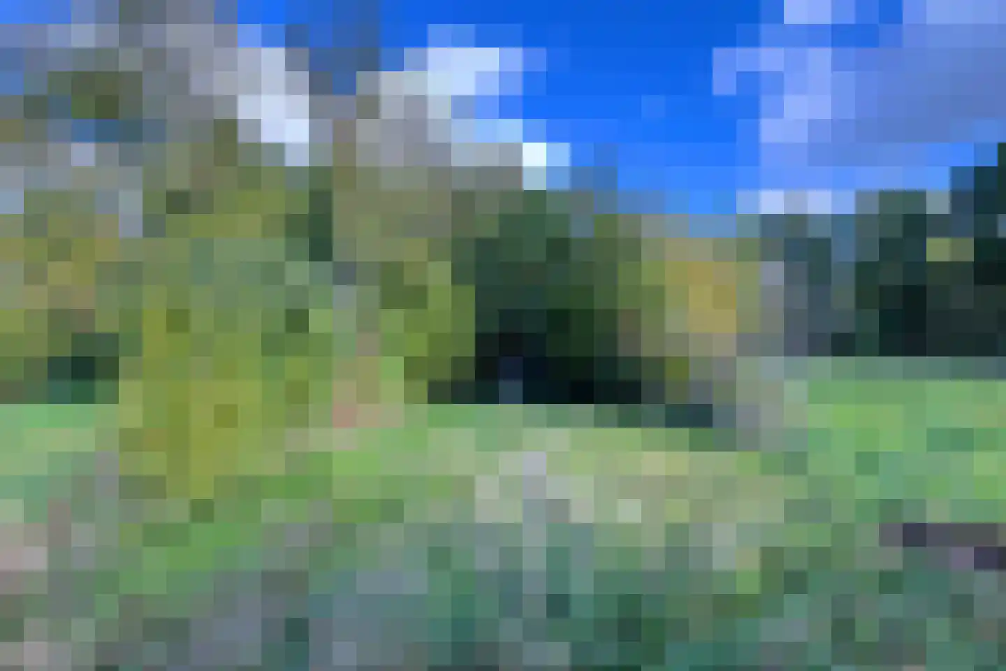 Hegge 88 Schinnen thumbnail 46