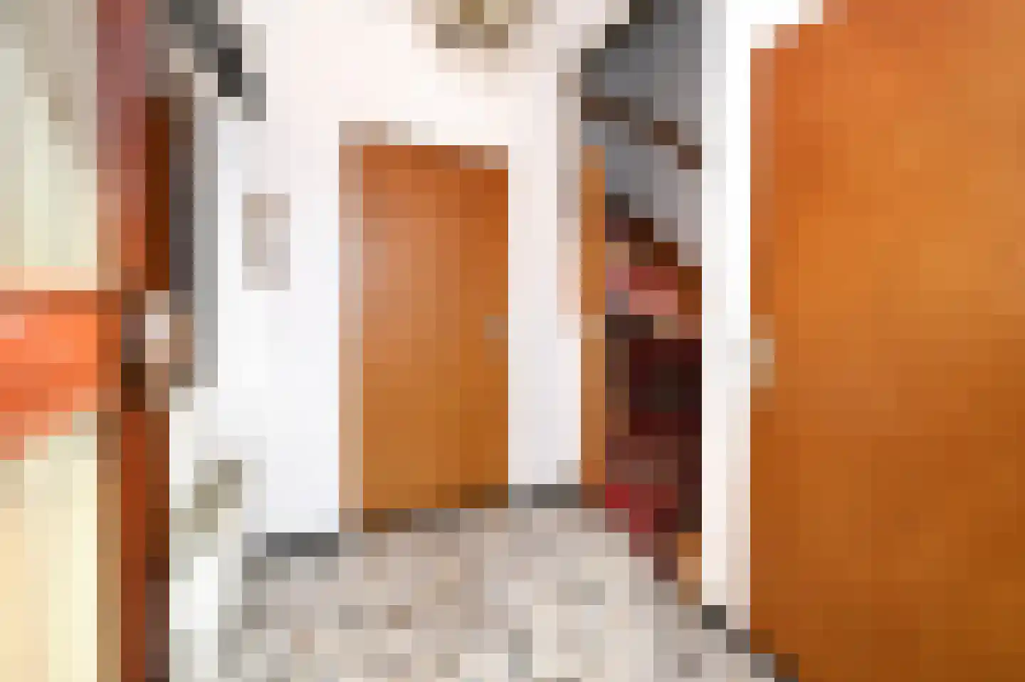 Hegge 88 Schinnen thumbnail 6
