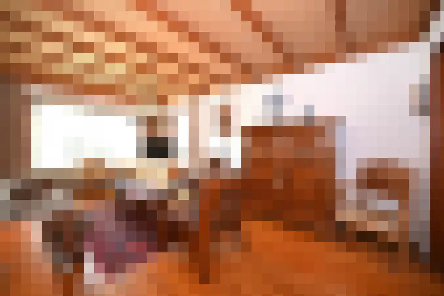 Hegge 88 Schinnen thumbnail 7
