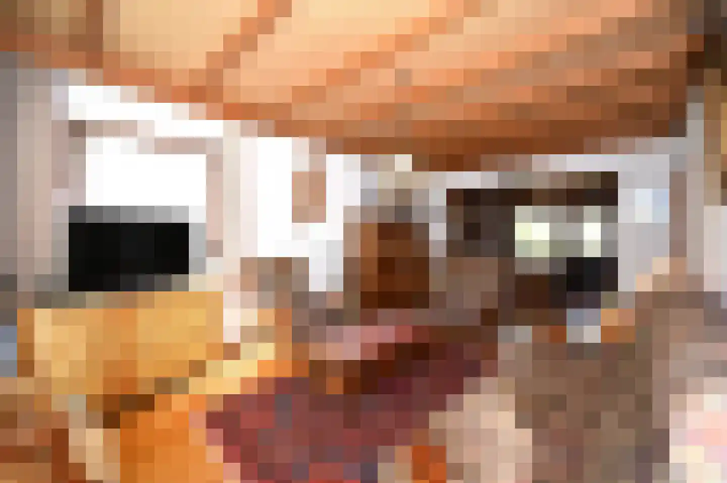 Hegge 88 Schinnen thumbnail 8