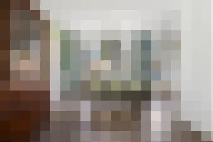 Heggemus 1 Etten-Leur thumbnail 10