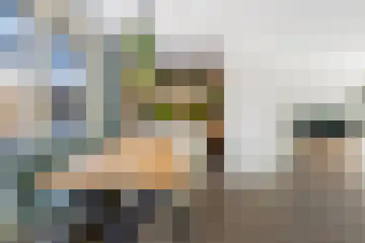 Heggemus 1 Etten-Leur thumbnail 11