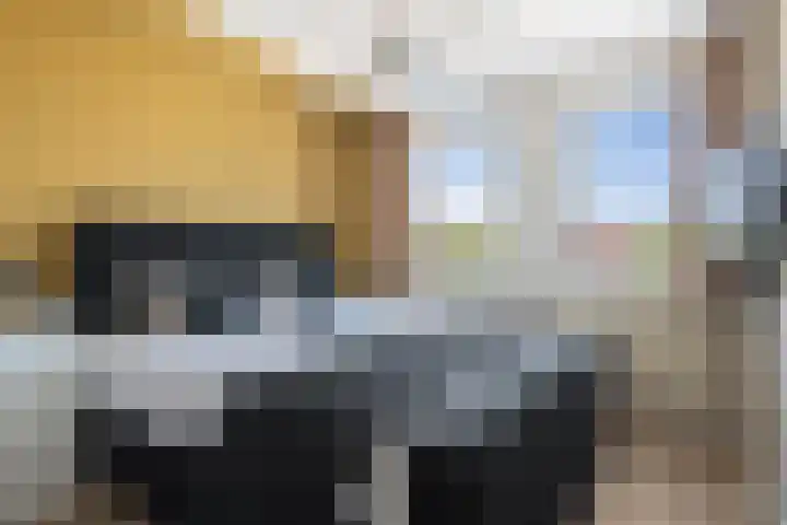 Heggemus 1 Etten-Leur thumbnail 19