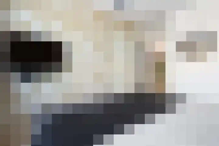 Heggemus 1 Etten-Leur thumbnail 20