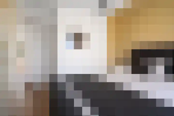 Heggemus 1 Etten-Leur thumbnail 21