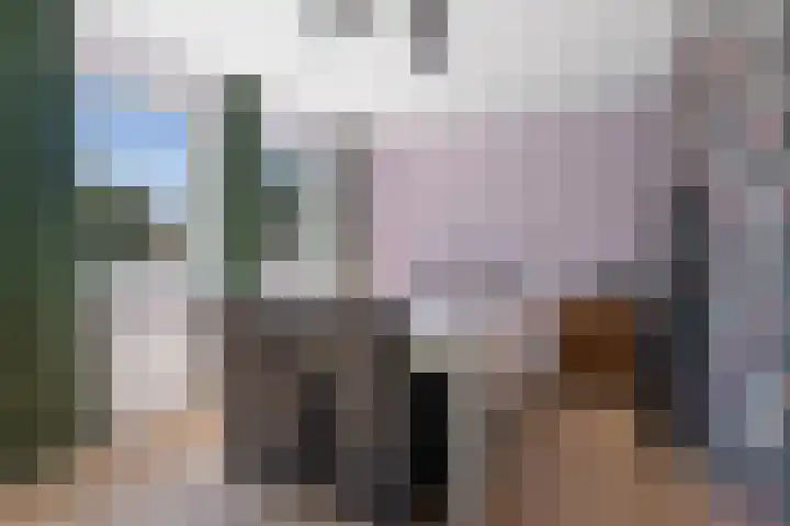 Heggemus 1 Etten-Leur thumbnail 23