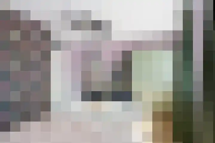 Heggemus 1 Etten-Leur thumbnail 24
