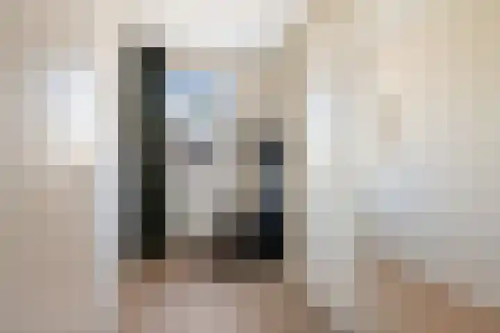 Heggemus 1 Etten-Leur thumbnail 25
