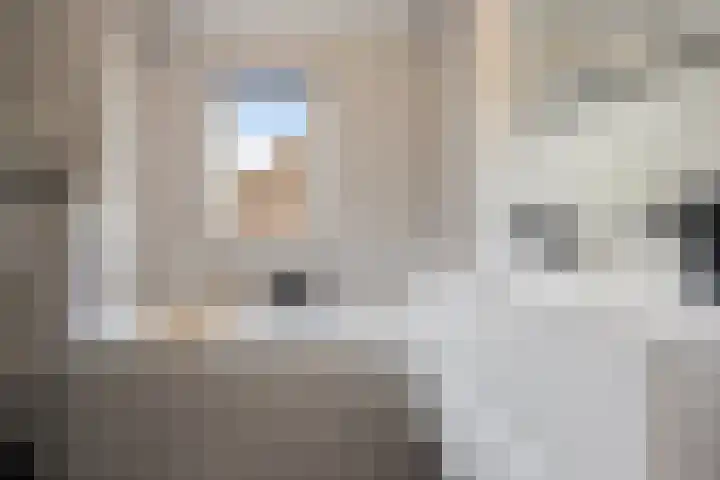 Heggemus 1 Etten-Leur thumbnail 26