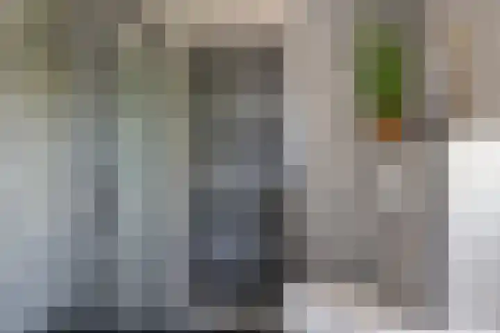 Heggemus 1 Etten-Leur thumbnail 27
