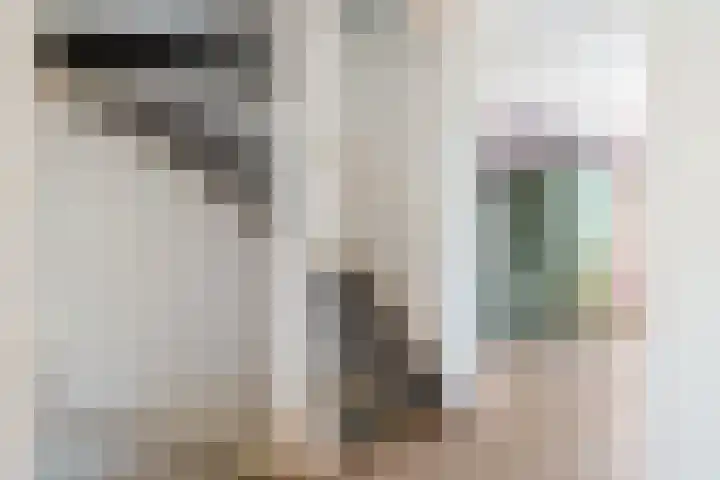 Heggemus 1 Etten-Leur thumbnail 29