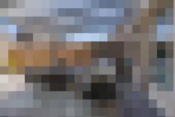 Heggemus 1 Etten-Leur thumbnail 34