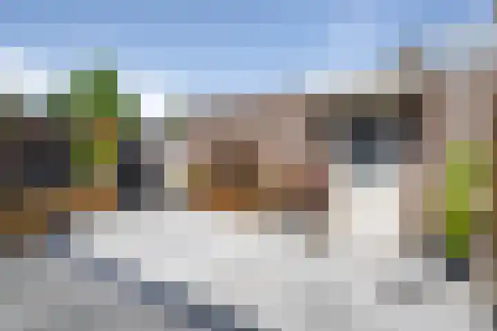 Heggemus 1 Etten-Leur thumbnail 37
