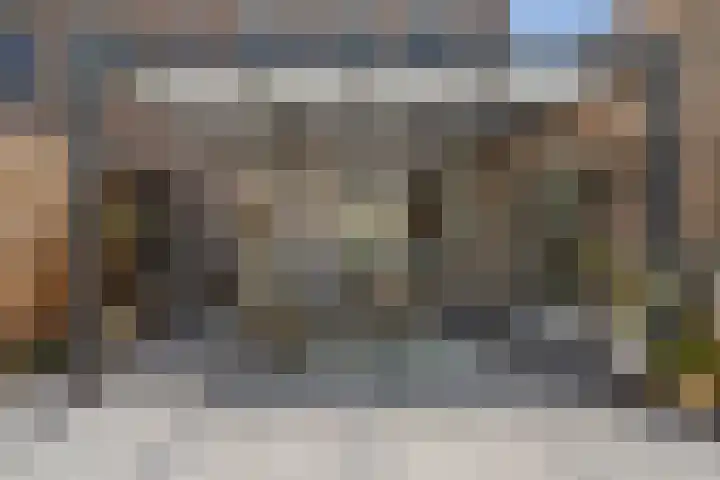 Heggemus 1 Etten-Leur thumbnail 40
