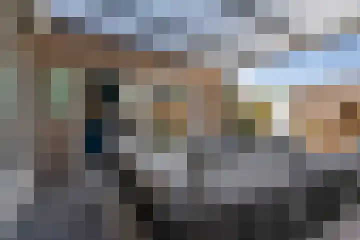 Heggemus 1 Etten-Leur thumbnail 41
