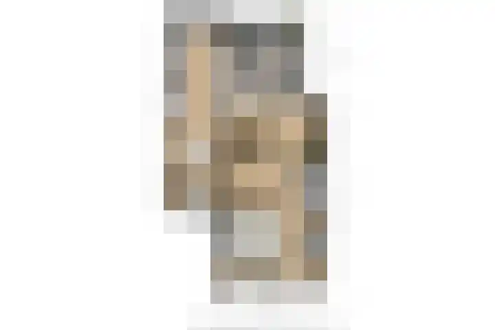 Heggemus 1 Etten-Leur thumbnail 44