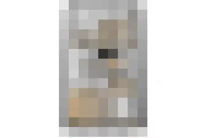 Heggemus 1 Etten-Leur thumbnail 47