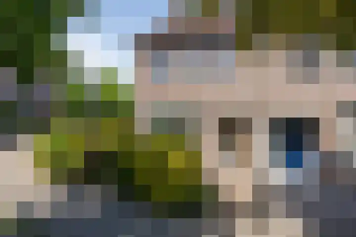 Heggemus 1 Etten-Leur thumbnail 5