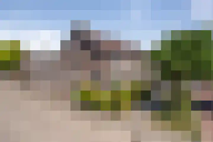 Heggemus 1 Etten-Leur thumbnail 53