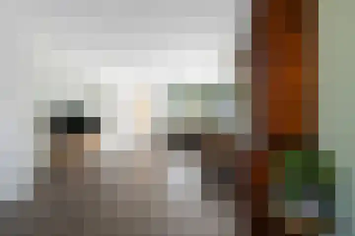 Heggemus 1 Etten-Leur thumbnail 7