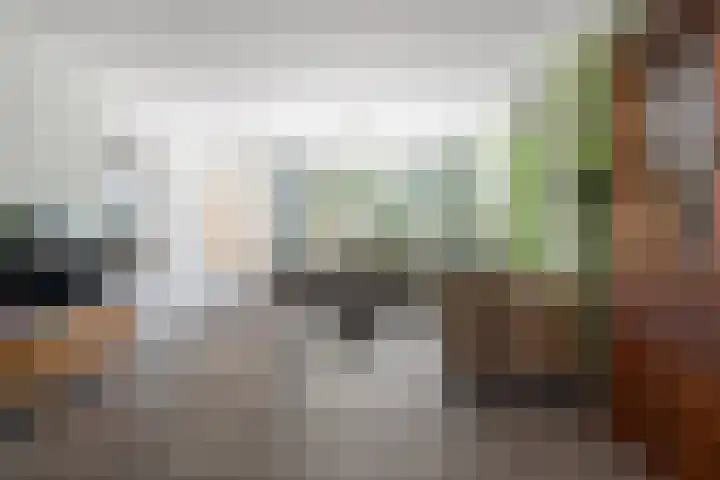 Heggemus 1 Etten-Leur thumbnail 8