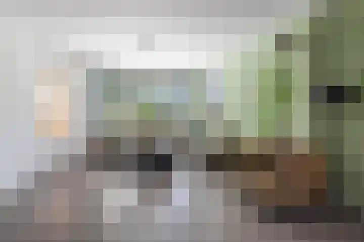 Heggemus 1 Etten-Leur thumbnail 9