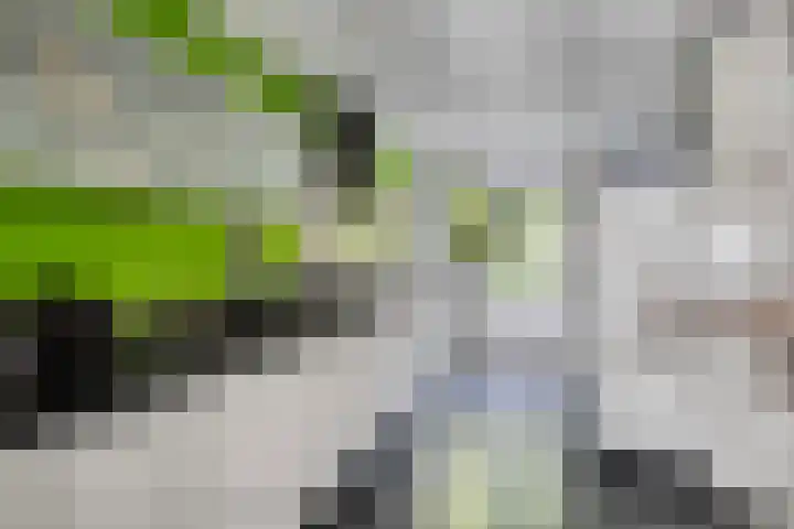 Heggenroosstraat 2 C Eindhoven thumbnail 11