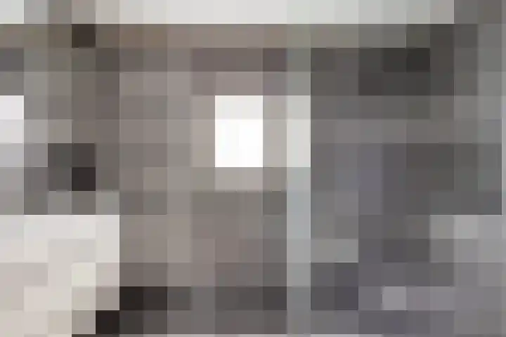 Heggenroosstraat 2 C Eindhoven thumbnail 16