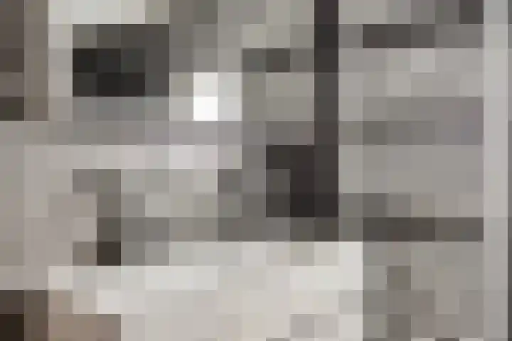 Heggenroosstraat 2 C Eindhoven thumbnail 17
