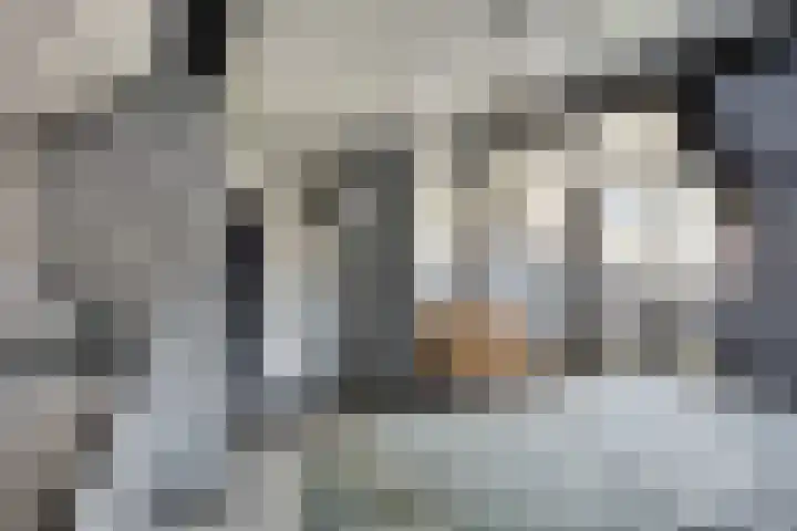 Heggenroosstraat 2 C Eindhoven thumbnail 22