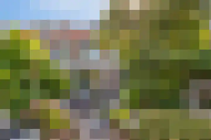 Heggenroosstraat 2 C Eindhoven thumbnail 23