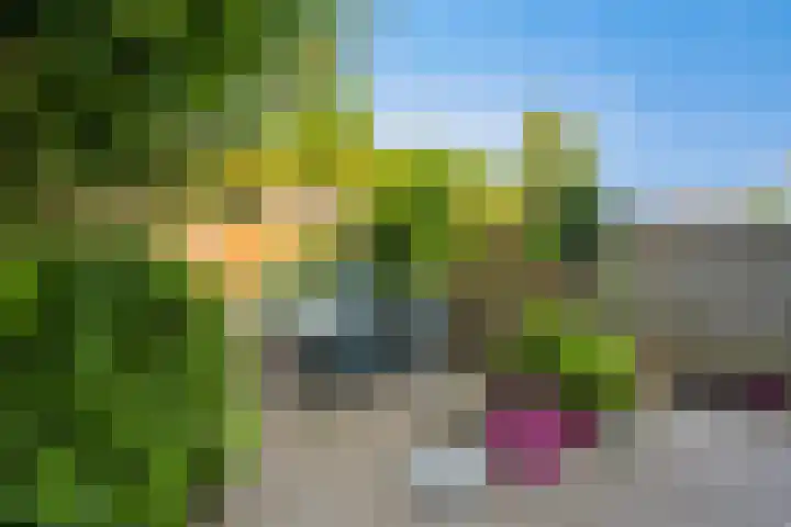Heggenroosstraat 2 C Eindhoven thumbnail 25