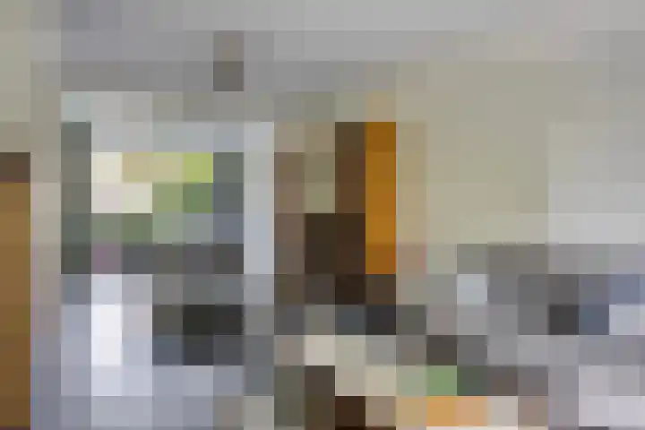 Heggenroosstraat 2 C Eindhoven thumbnail 6