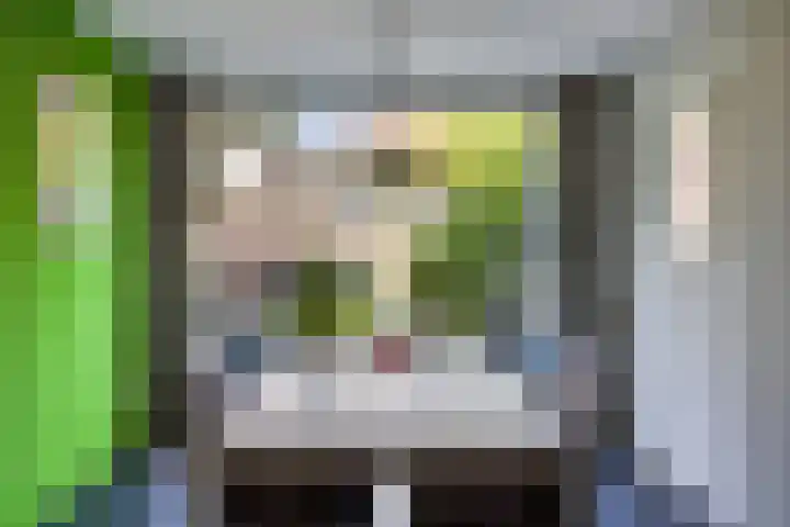 Heggenroosstraat 2 C Eindhoven thumbnail 9