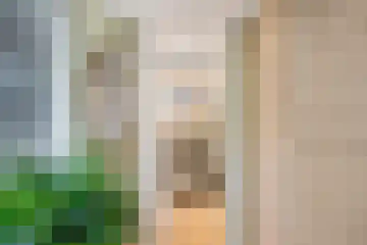 Heggenwikke 5 Norg thumbnail 12